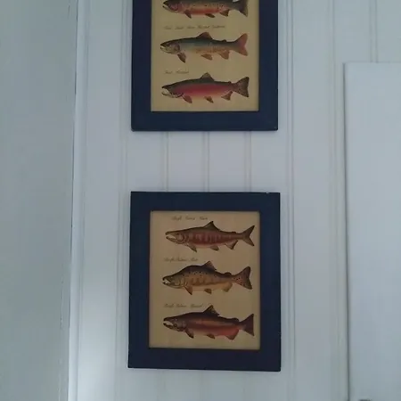 Nostalgisk Naer Skogseidvatnet *