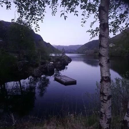 Nostalgisk Naer Skogseidvatnet Tatil Evi *